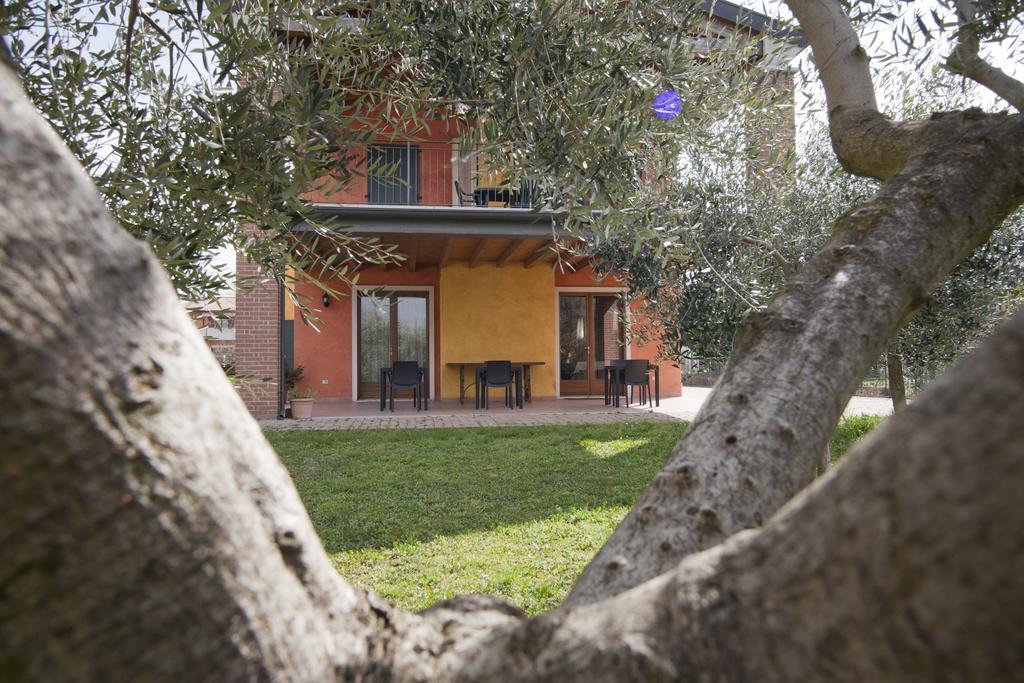 Agriturismo Le Sigalette 살리온제 외부 사진